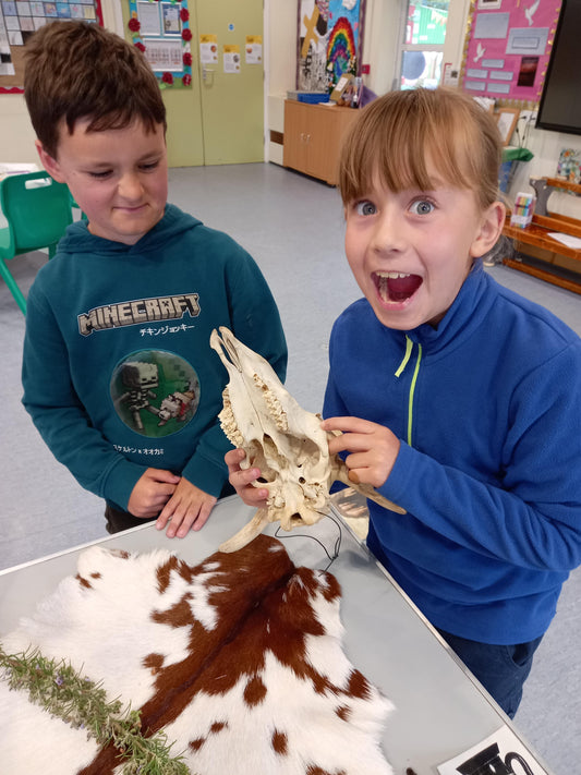 Half Term Dig School