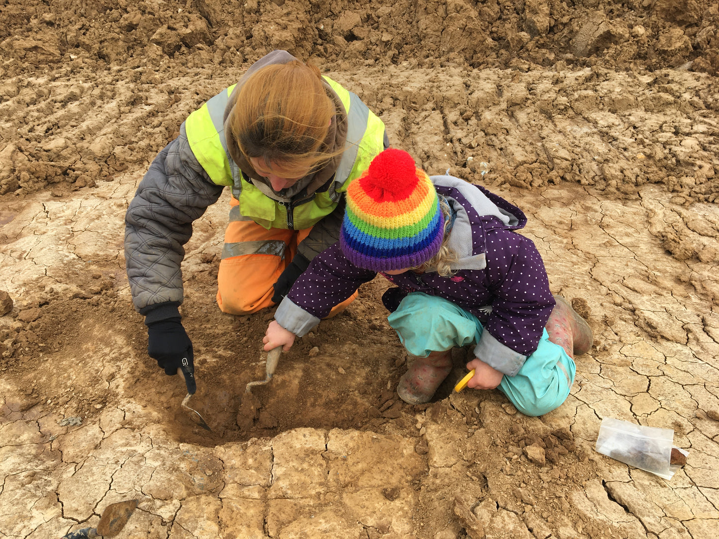 Hale Farm Excavation