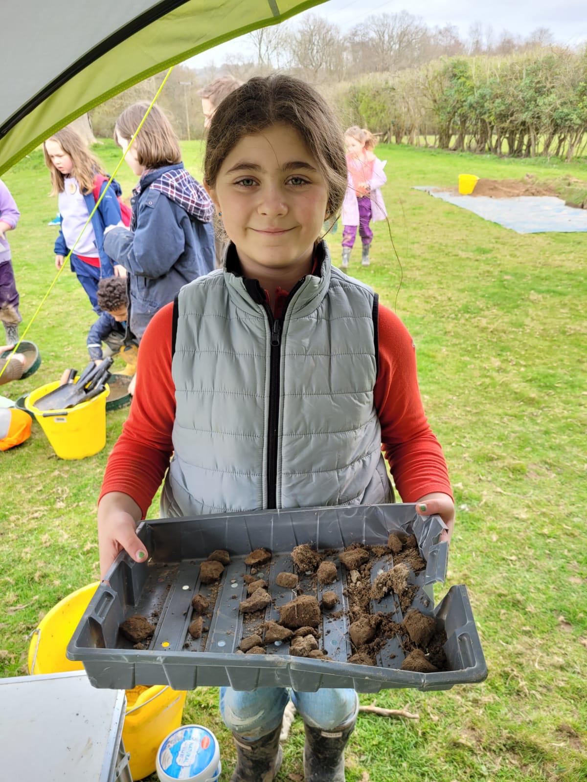 Hale Farm Excavation