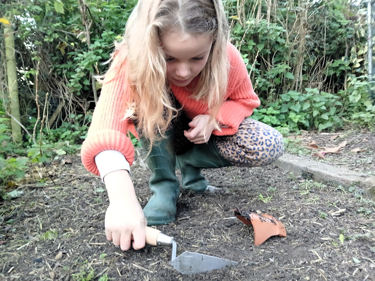 Junior Archaeologist Kit