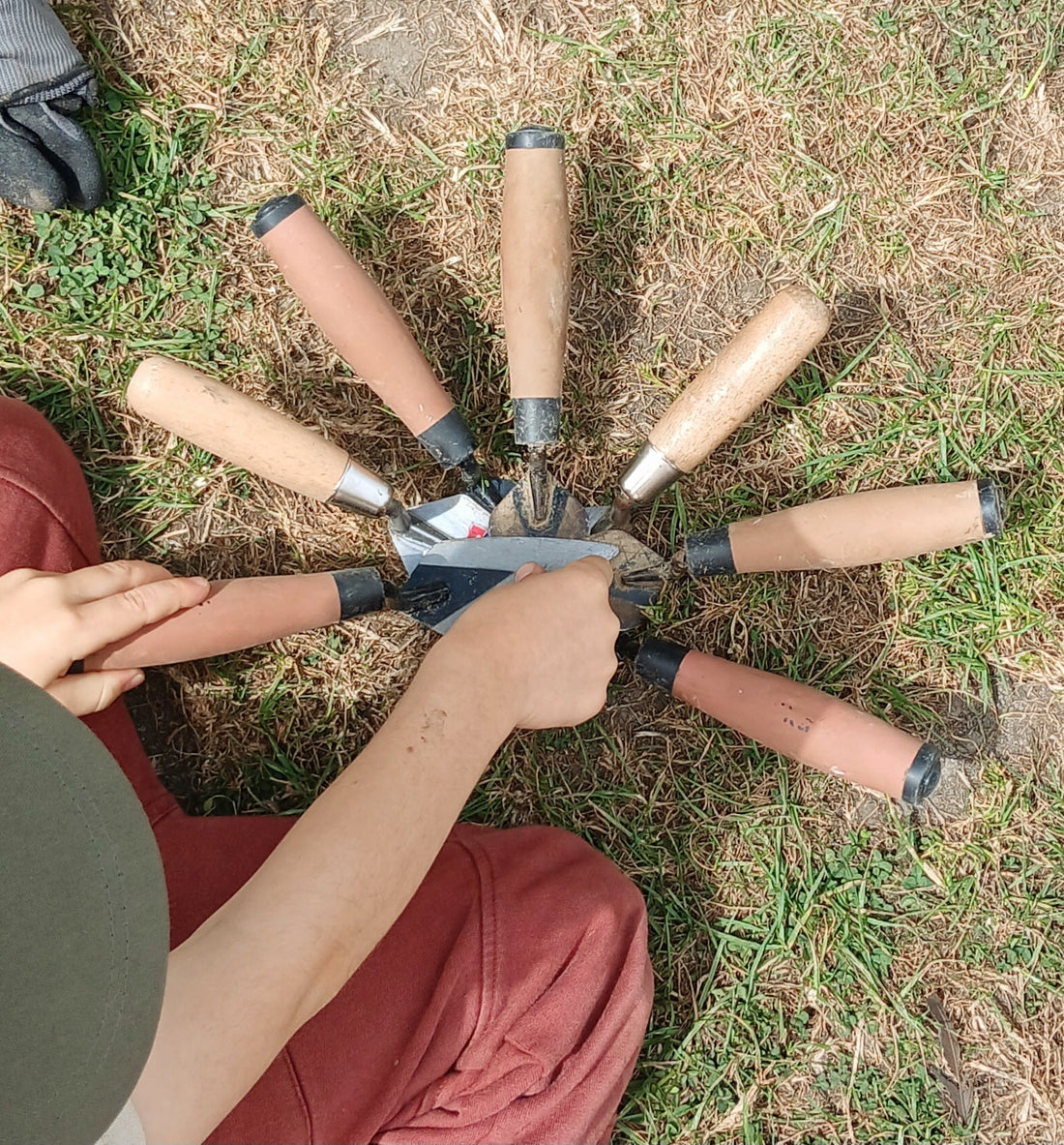 Farm Green Dig Impact Study: Read It Now