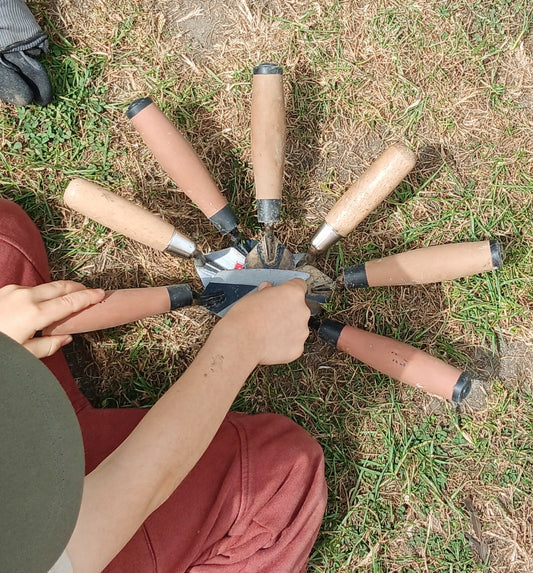 Farm Green Dig Impact Study: Read It Now