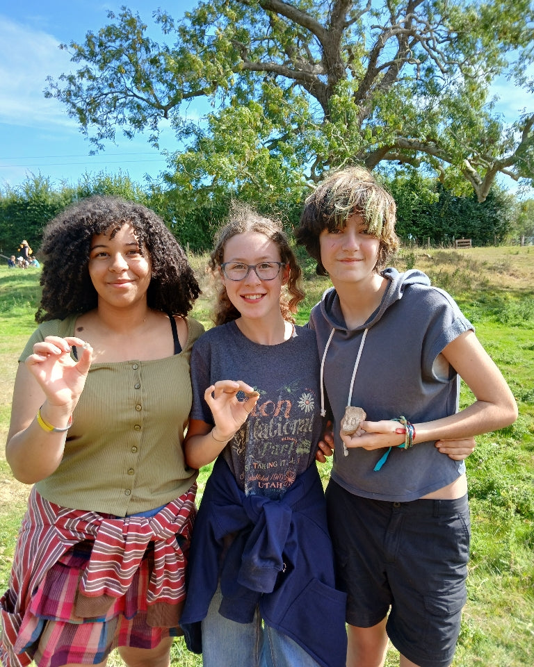 Hale Farm Excavation